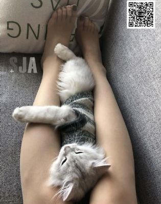 欧美复古片_高清电影全集观看